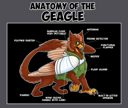 Size: 3812x3228 | Tagged: safe, artist:likeshine, imported from derpibooru, oc, oc only, oc:pavlos, griffon, anatomy, bandage, beak, broken bone, broken wing, cast, cheek fluff, claws, clothes, colored wings, commission, diagram, eared griffon, griffon oc, hoodie, injured, labels, male, non-pony oc, sling, solo, tail, wings