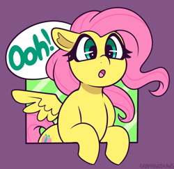 Size: 1750x1700 | Tagged: safe, artist:graphene, imported from derpibooru, fluttershy, pegasus, pony, :o, cute, dialogue, female, half body, mare, ooh, open mouth, purple background, reaction image, shyabetes, simple background, solo, speech bubble, spread wings, wings