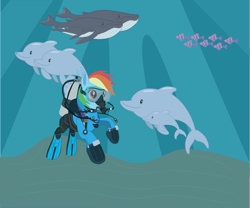 Size: 4535x3780 | Tagged: safe, artist:andoanimalia, artist:firefall-mlp, artist:sonicstreak5344, imported from derpibooru, rainbow dash, dolphin, fish, pegasus, whale, air tank, animal, bubble, dive mask, drysuit, flippers, flippers (gear), goggles, hose, ocean, oxygen tank, photo, rebreather, sand, scuba diving, scuba gear, show accurate, sunlight, swimming, underwater, water, wetsuit