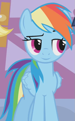 Size: 365x590 | Tagged: safe, edit, edited screencap, editor:twilyisbestpone, imported from derpibooru, screencap, applejack, rainbow dash, twilight sparkle, earth pony, pegasus, pony, unicorn, season 1, suited for success, carousel boutique, cropped, eyebrows, female, inverted mouth, lidded eyes, mare, offscreen character, raised eyebrow, smiling, solo focus