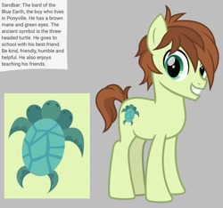 Size: 640x600 | Tagged: safe, artist:fizzled_kitty, edit, imported from derpibooru, sandbar, earth pony, pony, turtle, alternate cutie mark, alternate hair color, brown hair, cutie mark, google translate, gray background, implied school of friendship, male, multiple heads, recolor, reference sheet, simple background, solo, three heads