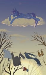 Size: 1263x2048 | Tagged: safe, artist:hichieca, imported from derpibooru, oc, oc only, pegasus, pony, clothes line, cloud, on a cloud, pegasus oc, sleeping, sleeping on a cloud, solo, wings