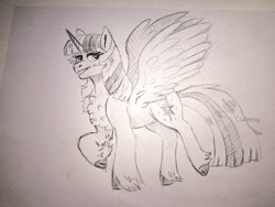 Size: 1500x1125 | Tagged: safe, artist:cluterdrop, imported from derpibooru, twilight sparkle, alicorn, pony, chest fluff, cloven hooves, eyebrows, eyebrows visible through hair, female, grayscale, lidded eyes, mare, monochrome, pencil drawing, signature, solo, spread wings, standing on two hooves, traditional art, twilight sparkle (alicorn), unshorn fetlocks, wings