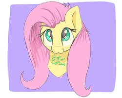 Size: 2500x2000 | Tagged: safe, artist:bazza, derpibooru exclusive, imported from derpibooru, fluttershy, pegasus, pony, :3, bust, cute, disembodied head, looking at you, looking up, looking up at you, paint tool sai, shyabetes, signature, simple, simple background, simple shading, solo, speech, talking, text