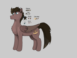 Size: 4000x3000 | Tagged: safe, imported from derpibooru, oc, oc only, oc:dustwing, pegasus, brown fur, brown mane, gray background, pegasus oc, reference sheet, simple background, solo, wings
