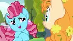 Size: 1920x1088 | Tagged: safe, imported from derpibooru, screencap, cup cake, pear butter, earth pony, pony, season 7, the perfect pear, chiffon swirl, duo, duo female, female, lidded eyes, looking at each other, looking at someone, smiling, teasing