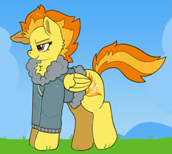 Size: 2075x1860 | Tagged: safe, artist:spookyfoxinc, imported from derpibooru, spitfire, pegasus, pony, background, bomber jacket, clothes, folded wings, jacket, solo, wings, wonderbolts
