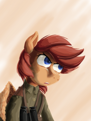 Size: 1536x2048 | Tagged: safe, artist:soursweet cheese, imported from derpibooru, pegasus, pony, binoculars, clothes, commander, friendship is a lie, military pony, military uniform, solo, uniform