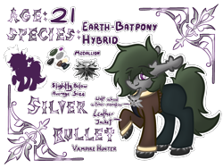 Size: 2160x1620 | Tagged: safe, artist:linkle, imported from derpibooru, oc, oc only, oc:silver bullet, reference sheet, simple background, solo, the witcher, transparent background