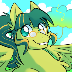 Size: 2000x2000 | Tagged: safe, artist:hydroflorix, imported from derpibooru, oc, oc only, pegasus, pony, bust, cloud, glasses, grin, male, outdoors, pegasus oc, smiling, solo, stallion, wings