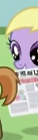 Size: 38x140 | Tagged: safe, imported from derpibooru, screencap, button mash, grape pop, ponyville confidential, cropped, cute, female, filly, foal, foal free press, mouth hold, newspaper, not dinky hooves, picture for breezies, tail