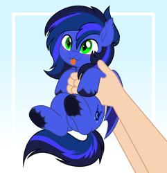 Size: 4822x5000 | Tagged: safe, artist:jhayarr23, imported from derpibooru, oc, oc only, oc:guard cobalt flash, bat pony, pony, :p, bat pony oc, bat wings, cute, gradient background, hand, holding a pony, smol, tongue out, wings