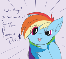Size: 3228x2896 | Tagged: safe, artist:tkshoelace, imported from derpibooru, rainbow dash, pegasus, pony, dialogue, eye clipping through hair, pointing at self, raised hoof, signature, solo, text