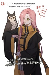 Size: 883x1343 | Tagged: safe, artist:xieyanbbb, imported from derpibooru, fluttershy, bird, human, owl, chinese, clothes, female, hair over one eye, harry potter (series), hufflepuff, humanized, scarf, simple background, skirt, solo, text, wand, white background