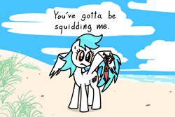 Size: 1500x1002 | Tagged: safe, artist:purblehoers, imported from derpibooru, oc, oc:crabcakes, pegasus, squid, beach, cloud, female, grass, mare, ocean, sand, solo, spread wings, text, water, wings