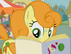 Size: 633x475 | Tagged: safe, carrot top, golden harvest, roseluck, oc, oc:anon, blushing, fanfic, human and pony, human fetish, reading, romance, romance novel, sweat
