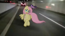 Size: 1080x608 | Tagged: safe, fluttershy, twilight sparkle, pony, butt, car, flutterbutt, irl, large butt, photo, ponies in real life, running, tunnel
