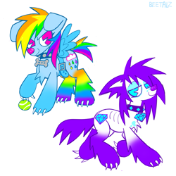 Size: 1089x1090 | Tagged: safe, artist:beetalz, imported from derpibooru, rainbow dash, rarity, dog, dogified, duo, simple background, smiling, sparkledog, species swap, white background