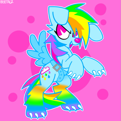 Size: 827x831 | Tagged: safe, artist:beetalz, imported from derpibooru, rainbow dash, dog, pony, dogified, fake wings, frown, smiling, solo, sparkledog, species swap