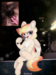 Size: 4096x5461 | Tagged: safe, artist:sodapop sprays, imported from derpibooru, oc, oc:sodapop sprays, cat, pegasus, pony, bereal., blushing, chest freckles, concert, ear fluff, eye clipping through hair, freckles, happy, looking at you, meme, screaming fan meme, wip