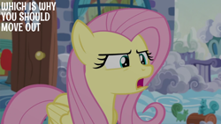 Size: 2000x1125 | Tagged: safe, edit, edited screencap, editor:quoterific, imported from derpibooru, screencap, fluttershy, flutter brutter, solo