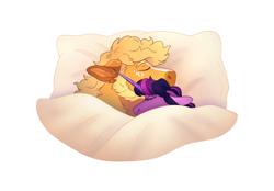 Size: 2360x1640 | Tagged: safe, artist:angstyram, imported from derpibooru, applejack, twilight sparkle, earth pony, pony, unicorn, bed, duo, duo female, female, horn, lesbian, shipping, sleeping, twijack