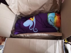 Size: 1280x960 | Tagged: safe, artist:trueheartcraft, imported from derpibooru, rainbow dash, pegasus, pony, fanfic:my little dashie, blanket, box, cardboard box, commission, cute, irl, photo, plushie, sleeping, solo