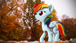 Size: 3840x2160 | Tagged: safe, artist:psfmer, imported from derpibooru, rainbow dash, pegasus, pony, 3d, autumn, female, folded wings, high res, mare, smiling, solo, source filmmaker, tree, wings