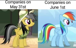 Size: 959x603 | Tagged: source needed, safe, edit, edited screencap, imported from derpibooru, screencap, daring do, rainbow dash, pegasus, pony, wonderbolts academy, caption, clothes, duo, duo female, female, hat, image macro, meme, pride month, rainbow, shirt, text