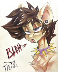 Size: 1030x1280 | Tagged: safe, artist:tlen borowski, imported from derpibooru, pony, brown mane, bust, chest fluff, clothes, collar, ear fluff, ear piercing, piercing, portrait, purple eyes, speech bubble, tongue out, tongue piercing, traditional art