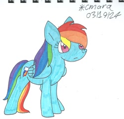 Size: 1004x964 | Tagged: safe, artist:cmara, imported from derpibooru, rainbow dash, pegasus, female, simple background, solo, white background