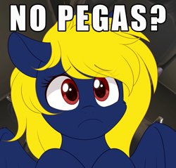 Size: 2027x1936 | Tagged: safe, artist:higgly-chan, imported from derpibooru, oc, oc:naveen numbers, pegasus, pony, meme, no bitches?