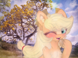 Size: 4096x3072 | Tagged: safe, artist:sodapop sprays, imported from derpibooru, applejack, earth pony, pony, blushing, chest fluff, cloud, cowboy hat, cowgirl, ear fluff, freckles, hat, headband, irl, irl background, looking at you, one eye closed, open mouth, photo, shoulder fluff, smiling, solo, unshorn fetlocks, wink