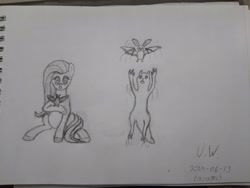 Size: 4032x3024 | Tagged: safe, artist:pink amena, imported from derpibooru, fluttershy, bat, fruit bat, pegasus, pony, batfly, crossover, duo, grayscale, jumping, monochrome, pencil drawing, rain world, sketch, slugcat, traditional art