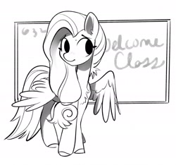 Size: 2202x2059 | Tagged: safe, artist:opalacorn, imported from derpibooru, oc, oc only, pegasus, pony, chalkboard, female, grayscale, mare, monochrome, not fluttershy, one wing out, simple background, solo, white background, wings