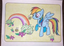 Size: 870x630 | Tagged: safe, artist:lullapiies, imported from derpibooru, rainbow dash, bee, insect, pony, coloring page, lesbian pride flag, pride, pride flag, rainbow, solo, traditional art