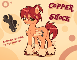 Size: 1400x1100 | Tagged: safe, artist:doodlesinky, imported from derpibooru, oc, oc:copper shock, pegasus, pony, abstract background, annoyed, blaze (coat marking), coat markings, cutie mark, facial markings, full body, male, pegasus oc, reference sheet, signature, stallion, stallion oc, text, unshorn fetlocks, watermark, wings, wrench