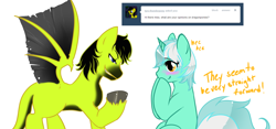 Size: 1280x597 | Tagged: safe, artist:azure-doodle, imported from derpibooru, lyra heartstrings, oc, oc:tyro, dracony, dragon, hybrid, pony, ask, blushing, canon x oc, duo, duo male and female, female, grin, looking at each other, looking at someone, male, mare, sexually confused lyra, simple background, smiling, smiling at each other, spread wings, stallion, straight, tumblr, white background, wings