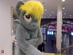 Size: 1600x1200 | Tagged: safe, artist:atalonthedeer, artist:giovannimagnus, imported from derpibooru, derpy hooves, pegasus, 2016, bust, eurofurence, fursuit, indoors, irl, photo, ponysuit, portrait, solo, spread wings, wings