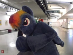 Size: 1600x1200 | Tagged: safe, artist:atalonthedeer, artist:giovannimagnus, imported from derpibooru, rainbow dash, pegasus, 2016, eurofurence, fursuit, indoors, irl, photo, ponysuit, solo, spread wings, wings