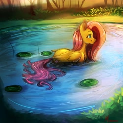 Size: 4000x4000 | Tagged: safe, artist:miokomata, imported from derpibooru, fluttershy, pegasus, pony, crepuscular rays, cute, flowing tail, freckles, freckleshy, lilypad, partially submerged, pegaduck, pond, shyabetes, smiling, solo, sunlight, swimming, tail, water, wet, wet tail