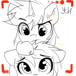 Size: 2048x2048 | Tagged: safe, artist:kristina, imported from derpibooru, oc, earth pony, pegasus, pony, unicorn, camera shot, commission, couple, horn, monochrome, selfie, ych result