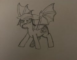 Size: 3024x2363 | Tagged: safe, artist:supersonicrainboom, imported from derpibooru, oc, oc:echo, bat pony, atg 2024, newbie artist training grounds, pencil drawing, sketch, solo, traditional art