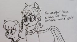 Size: 2048x1126 | Tagged: safe, artist:pony quarantine, imported from derpibooru, earth pony, pony, duo, duo female, eye clipping through hair, female, grayscale, mare, monochrome, open mouth, open smile, pen drawing, ponified, ponified horse, sergeant reckless, smiling, traditional art, wadduda