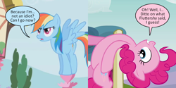 Size: 1440x720 | Tagged: safe, edit, edited screencap, imported from derpibooru, screencap, pinkie pie, rainbow dash, comic, national celebrate life day, screencap comic