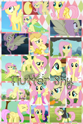 Size: 1024x1536 | Tagged: safe, artist:princessemerald7, imported from derpibooru, angel bunny, basil, cloud kicker, discord, fluttershy, merry may, rarity, spring melody, sprinkle medley, bat pony, dragon, pegasus, pony, rabbit, a bird in the hoof, bats!, dragonshy, griffon the brush off, hurricane fluttershy, season 1, season 2, season 4, animal, bat ponified, clothes, collage, dress, female, filly, filly fluttershy, flutterbat, gala dress, hub logo, logo, mare, race swap, the hub, younger