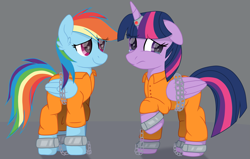 Size: 3925x2500 | Tagged: safe, artist:ponkus, imported from derpibooru, rainbow dash, twilight sparkle, alicorn, pegasus, pony, chains, clothes, commission, commissioner:rainbowdash69, female, jumpsuit, mare, never doubt rainbowdash69's involvement, prison outfit