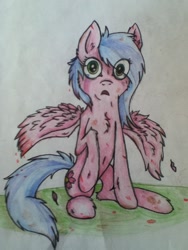 Size: 720x960 | Tagged: safe, artist:drakovyte, imported from derpibooru, oc, oc only, pegasus, pony, 2013, colored pencil drawing, pink coat, raised hoof, solo, traditional art