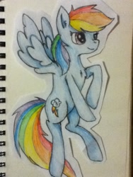 Size: 720x960 | Tagged: safe, artist:drakovyte, imported from derpibooru, rainbow dash, pony, 2013, blue coat, colored pencil drawing, female, mare, smiling, solo, traditional art