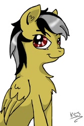 Size: 640x960 | Tagged: safe, artist:drakovyte, imported from derpibooru, oc, oc only, pegasus, pony, 2014, not daring do, pegasus oc, simple background, smiling, solo, white background, wings